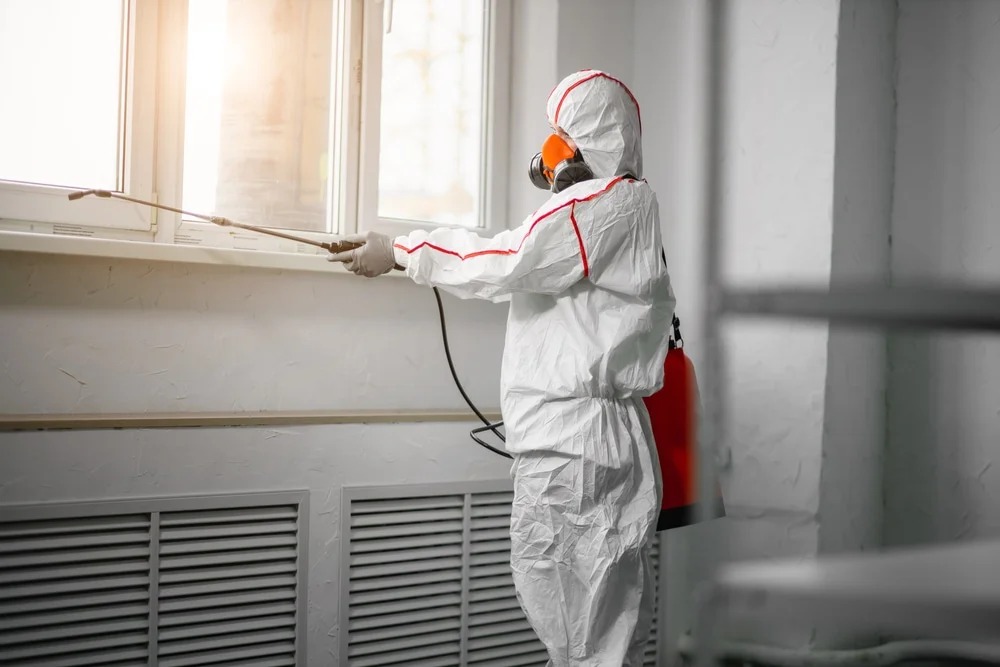 Professional mold remediation services in Cresskill, NJ